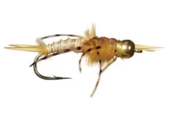 Golden Stone // Tungsten Stonefly Nymph By Solitude