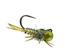 RIO's Point Drake // Tungsten Jig Anchor Nymph